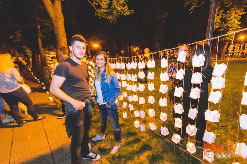 Festivalul Luminii, Oradea
