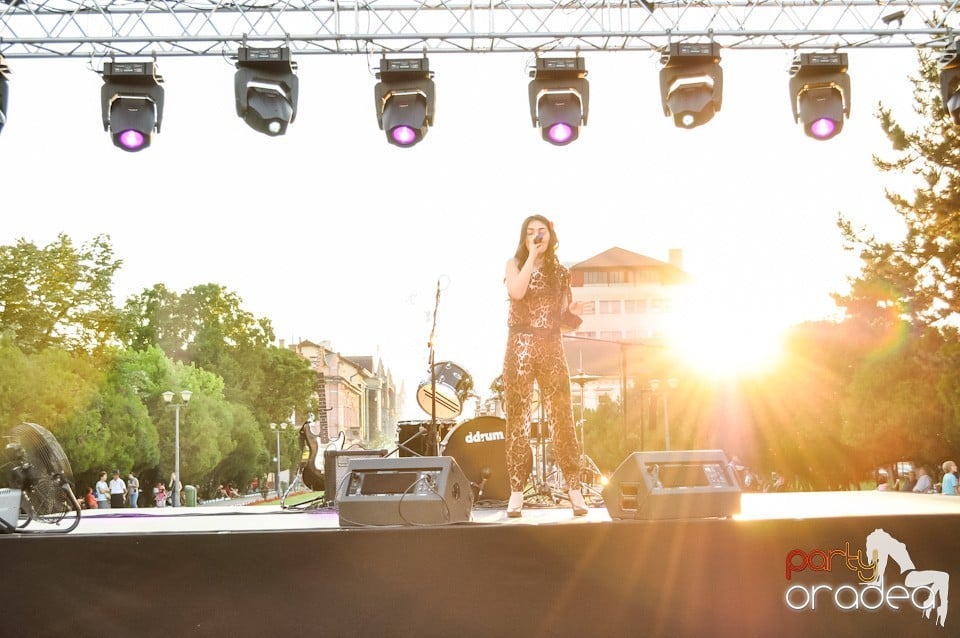 Festivalul luminii, Oradea