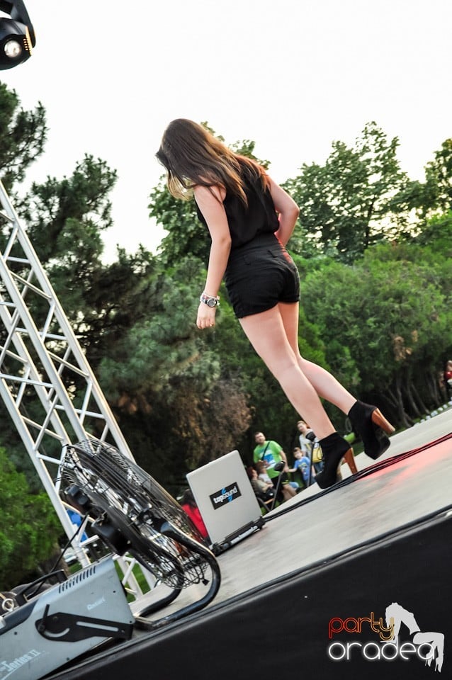 Festivalul luminii, Oradea