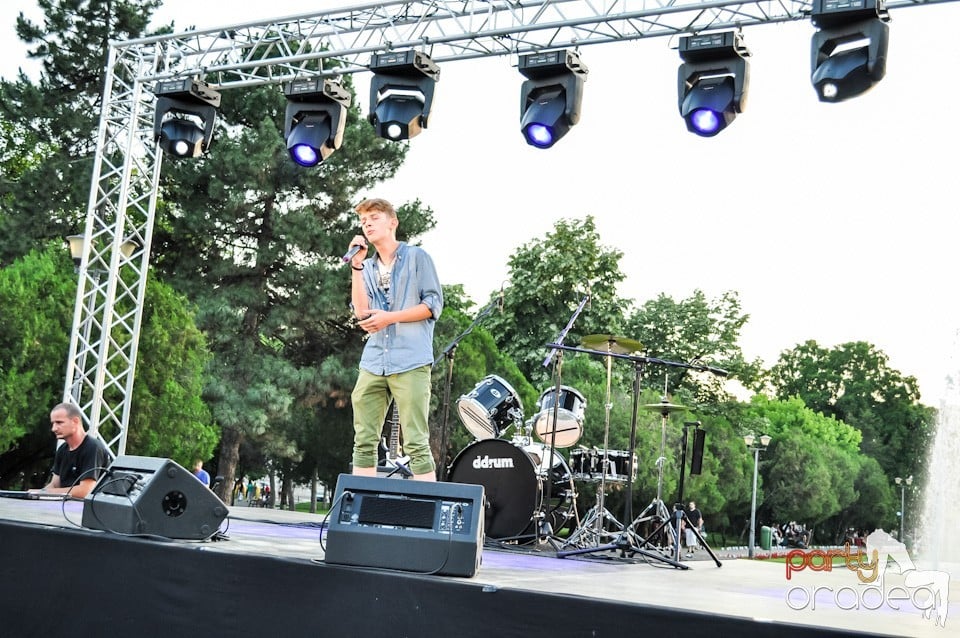 Festivalul luminii, Oradea