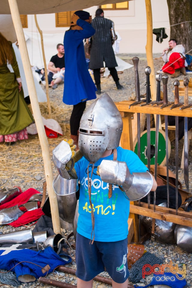 Festivalul Medieval al Cetății Oradea, Cetatea Oradea