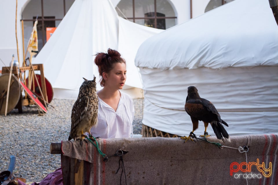 Festivalul Medieval al Cetății Oradea, Cetatea Oradea