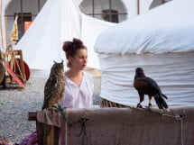 Festivalul Medieval al Cetății Oradea