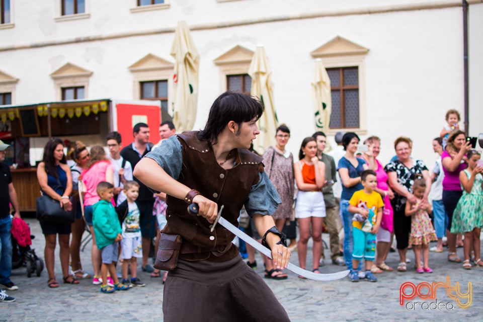 Festivalul Medieval al Cetății Oradea, Cetatea Oradea