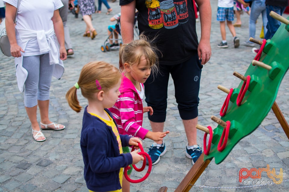 Festivalul Medieval al Cetății Oradea, Cetatea Oradea