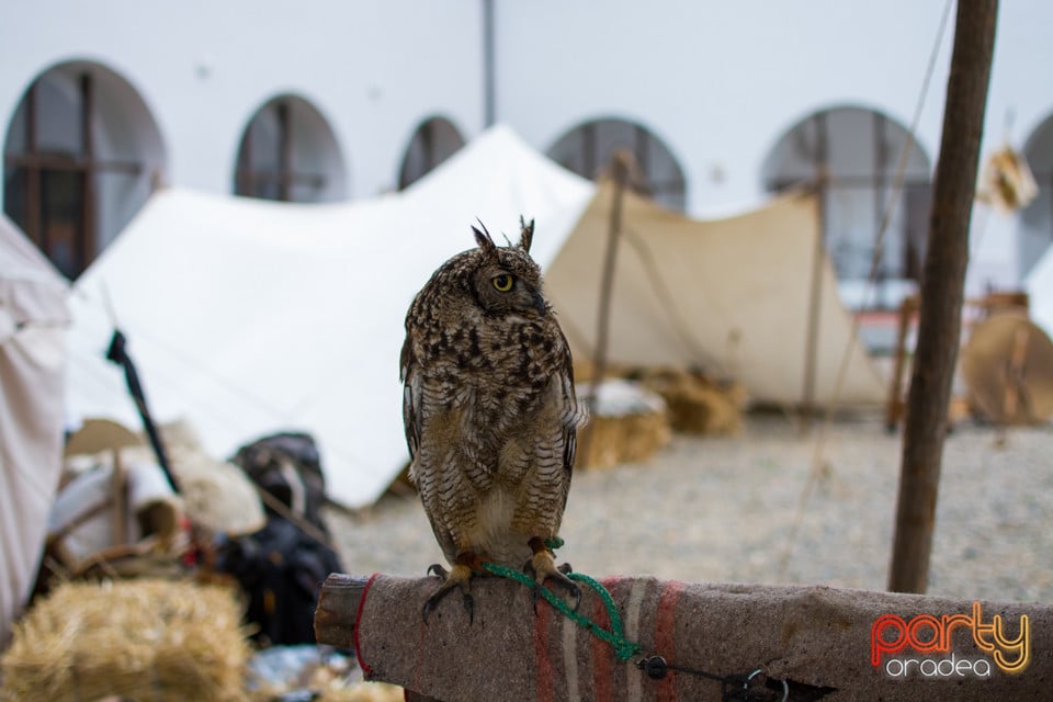 Festivalul Medieval al Cetății Oradea, Cetatea Oradea