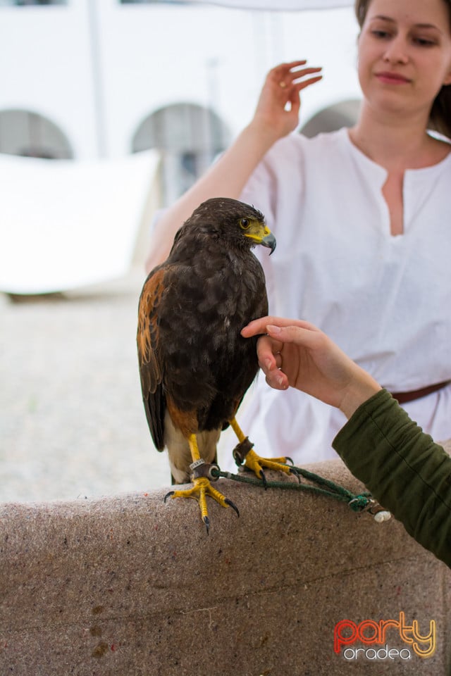 Festivalul Medieval al Cetății Oradea, Cetatea Oradea