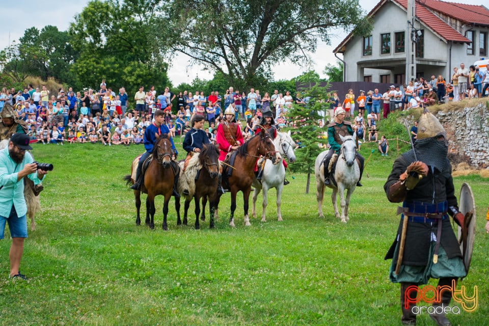 Festivalul Medieval al Cetății Oradea, Cetatea Oradea