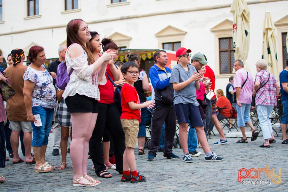 Festivalul Medieval al Cetății Oradea, Cetatea Oradea