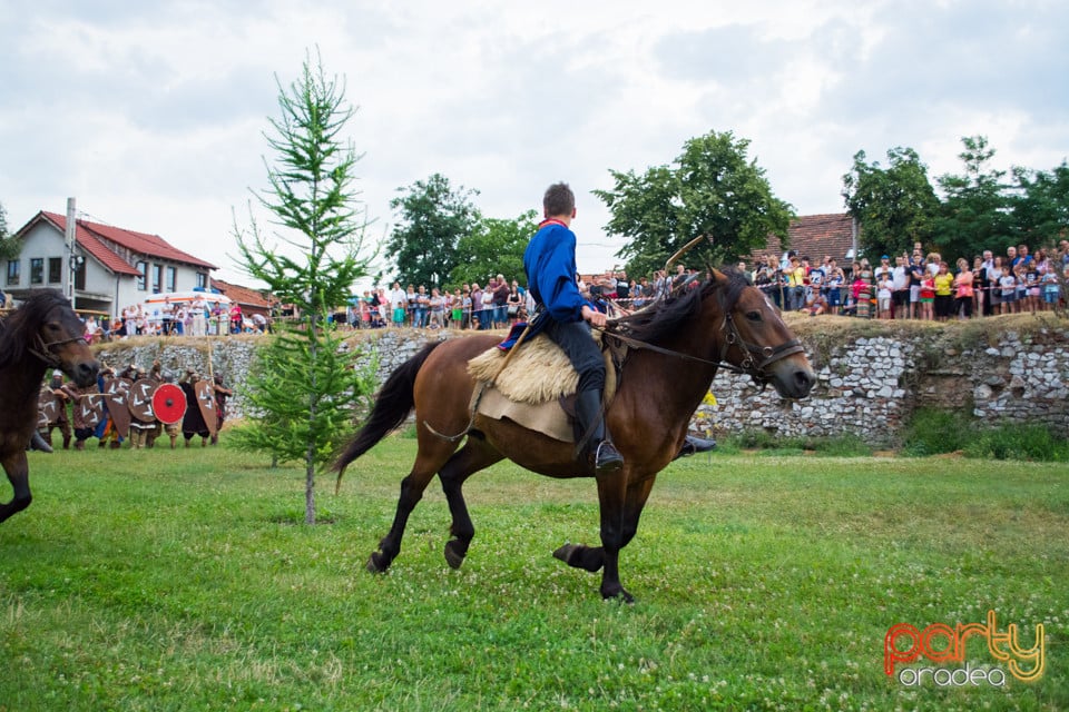 Festivalul Medieval al Cetății Oradea, Cetatea Oradea