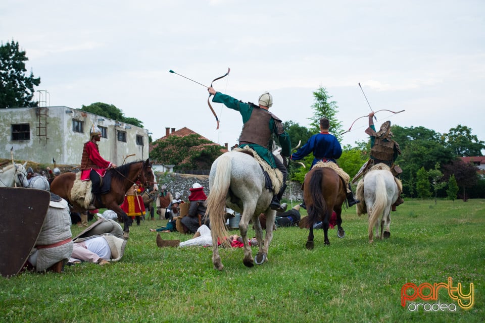 Festivalul Medieval al Cetății Oradea, Cetatea Oradea