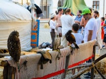 Festivalul Medieval al Cetății Oradea