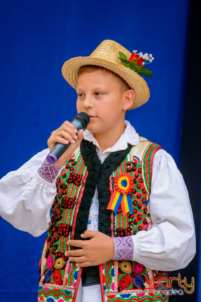 Festivalul Mustului, Oradea