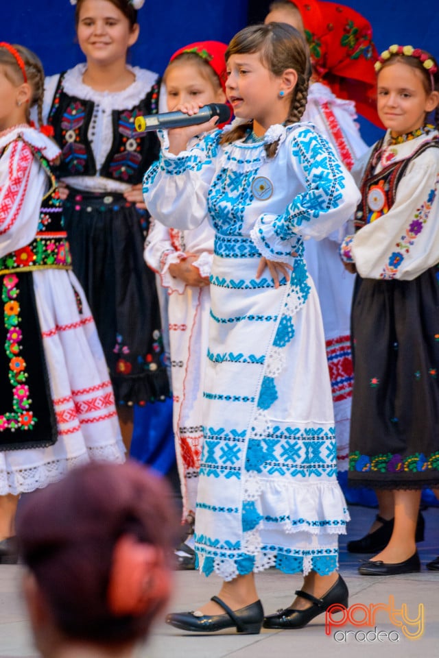 Festivalul Mustului, Oradea