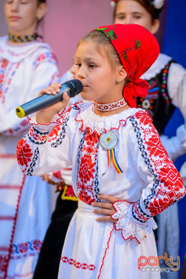 Festivalul Mustului, Oradea