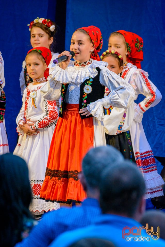 Festivalul Mustului, Oradea