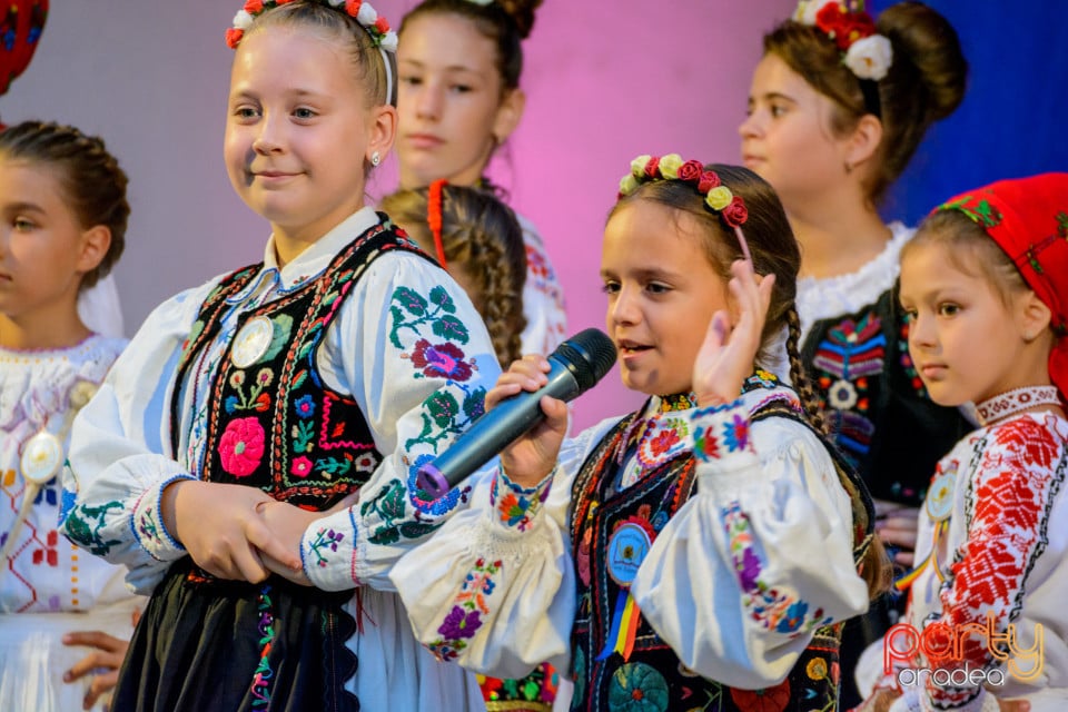 Festivalul Mustului, Oradea