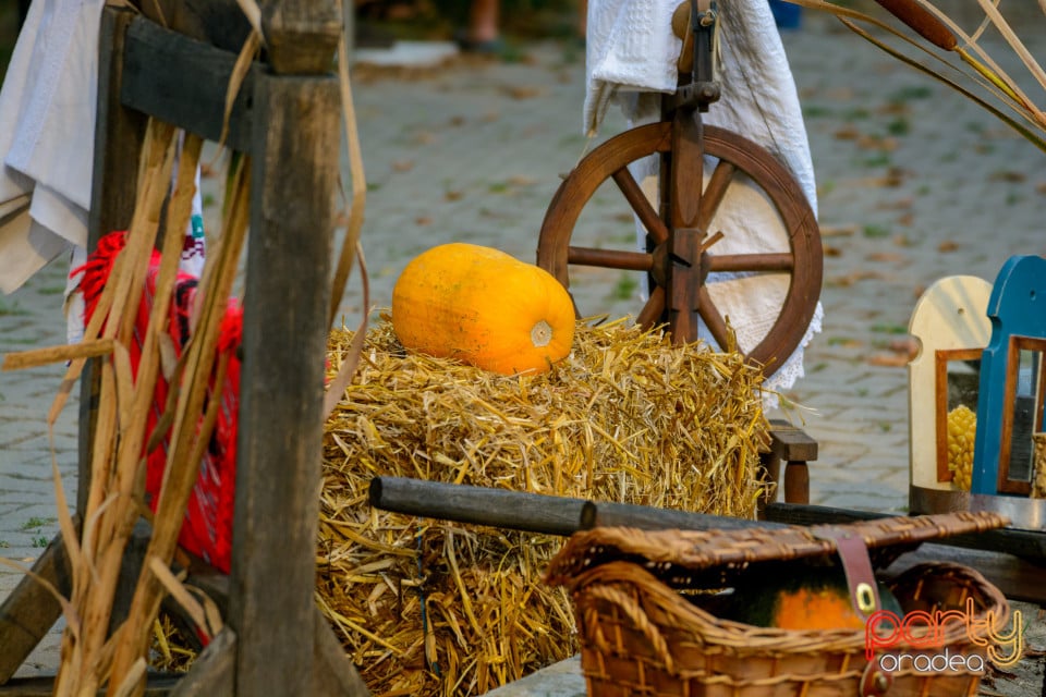 Festivalul Mustului, Oradea