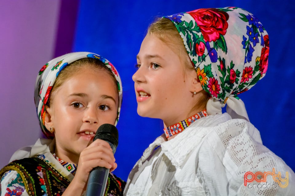 Festivalul Mustului, Oradea