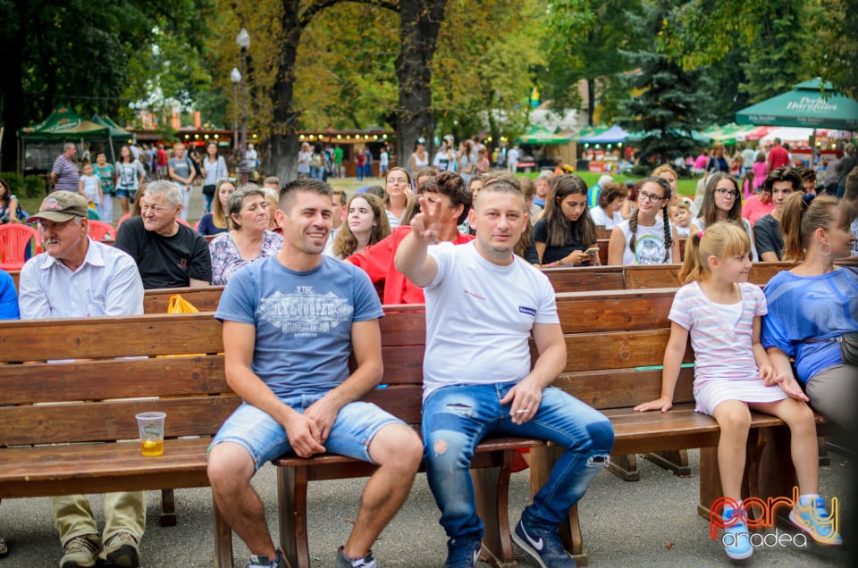 Festivalul Mustului, Oradea