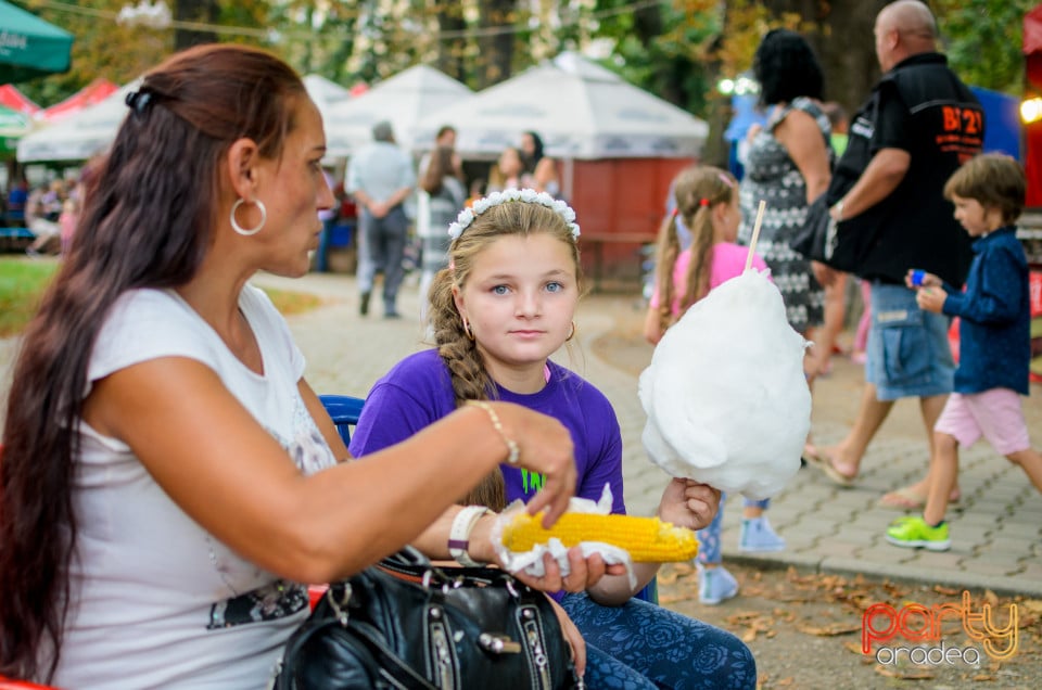 Festivalul Mustului, Oradea