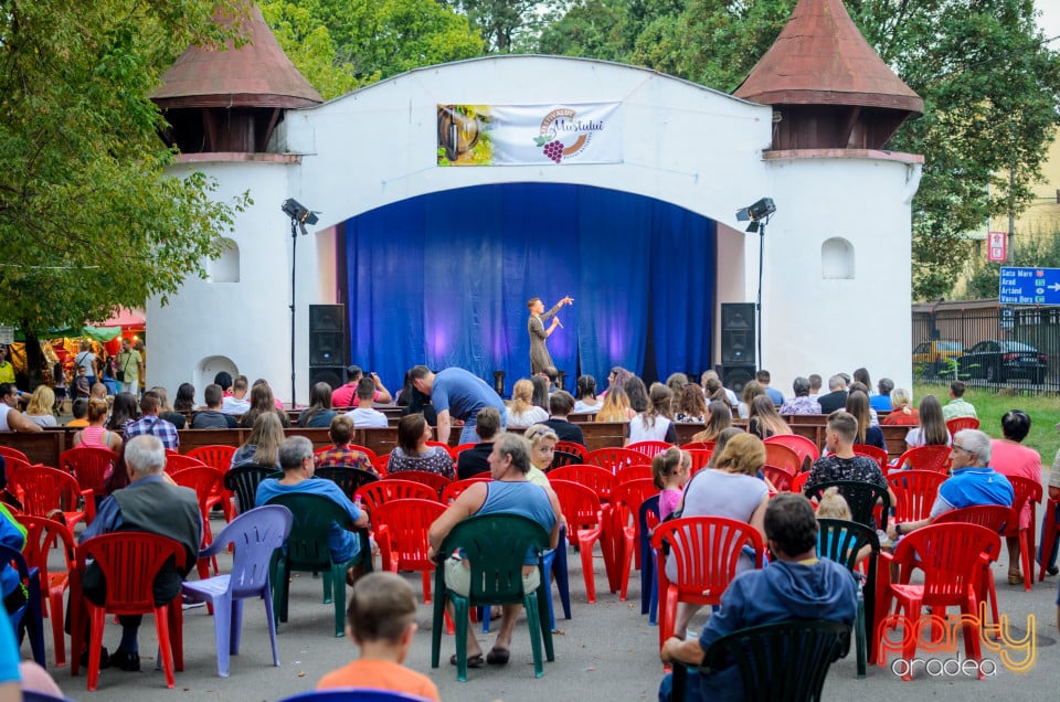 Festivalul Mustului, Oradea