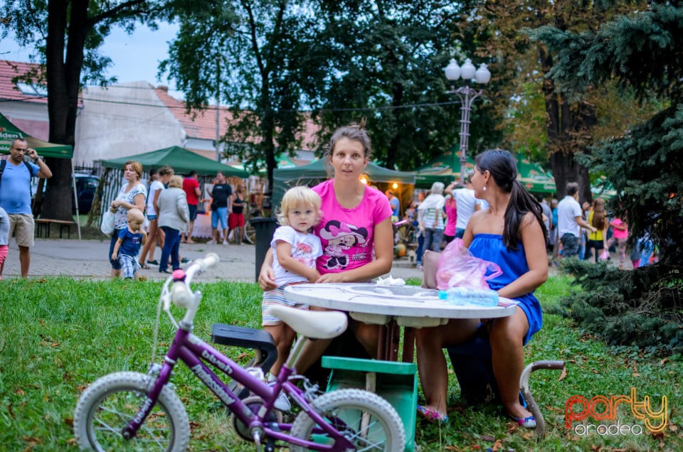 Festivalul Mustului, Oradea