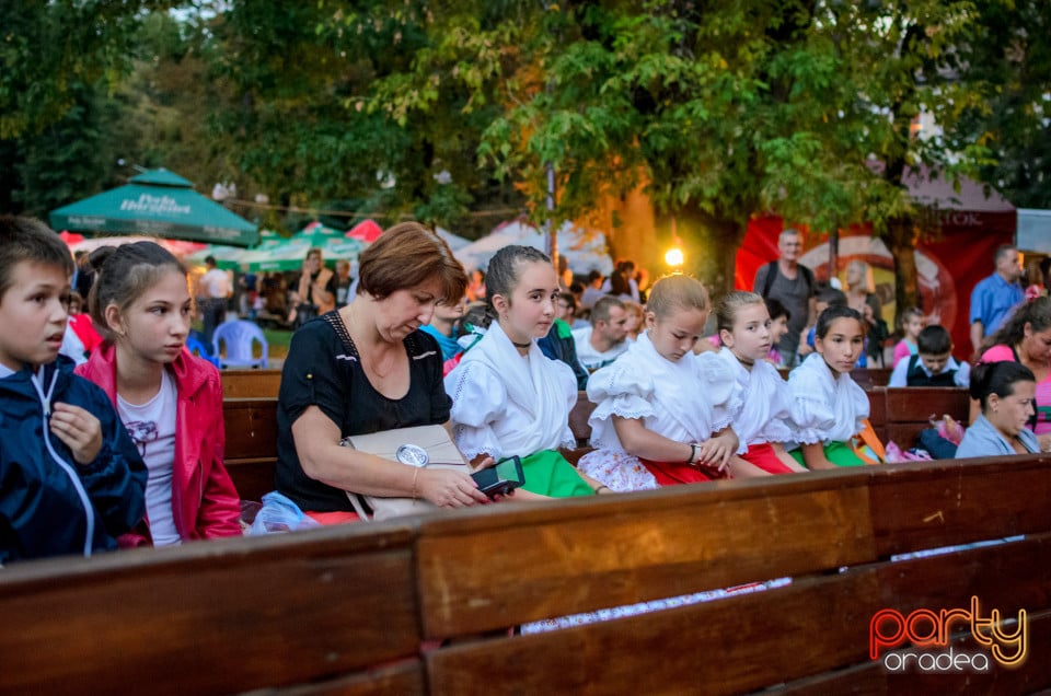 Festivalul Mustului, Oradea