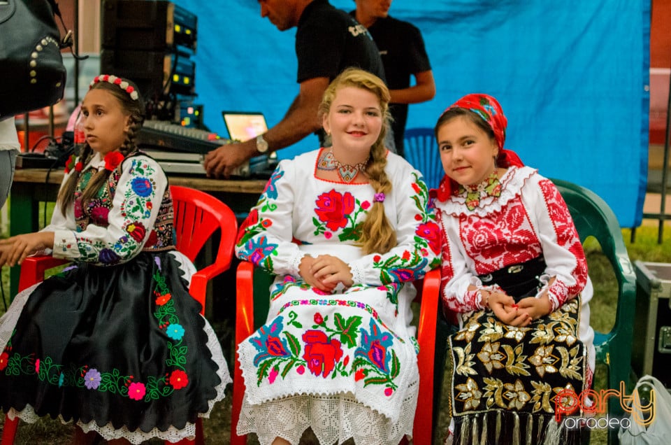 Festivalul Mustului, Oradea