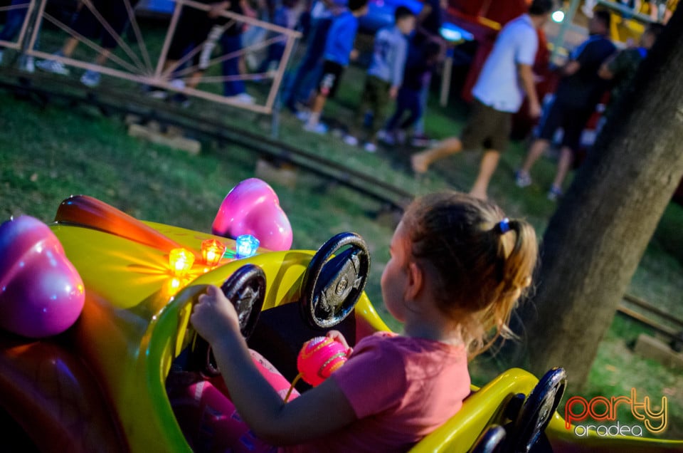 Festivalul Mustului, Oradea