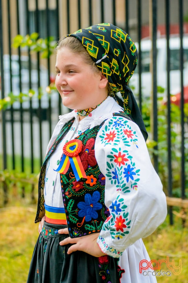 Festivalul Mustului, Oradea