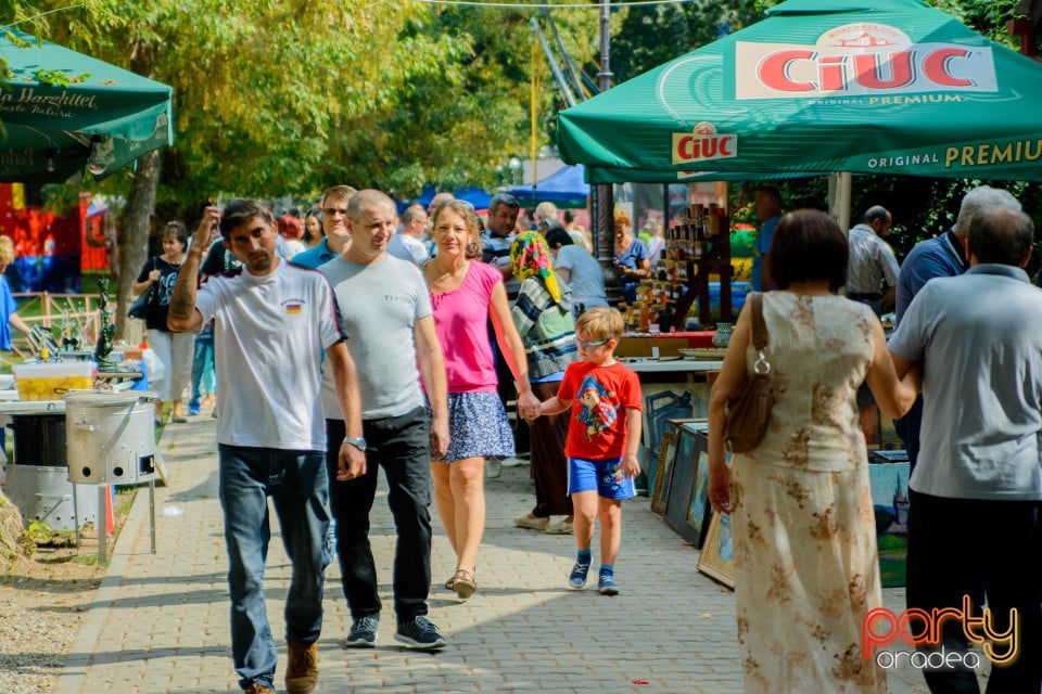 Festivalul Mustului, Oradea