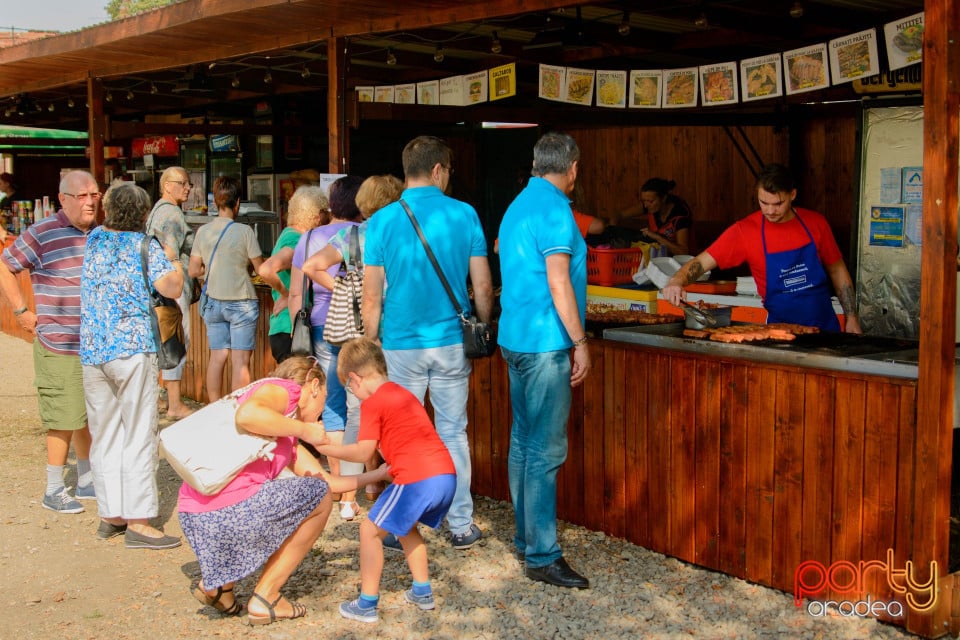 Festivalul Mustului, Oradea