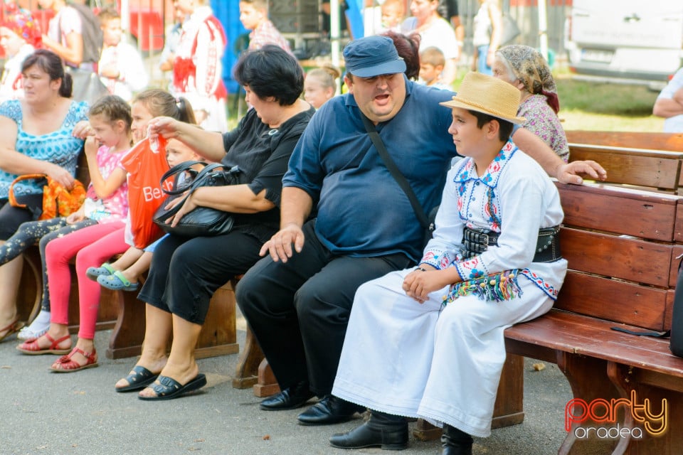 Festivalul Mustului, Oradea