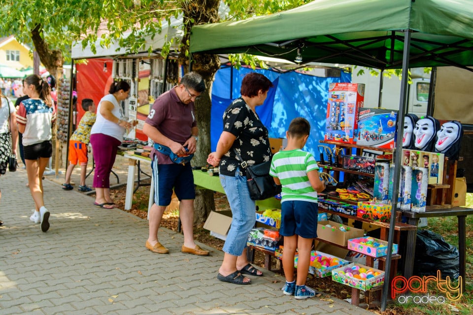 Festivalul Mustului, Oradea