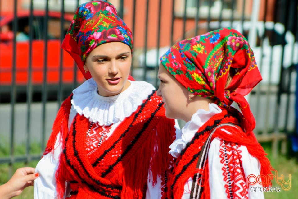 Festivalul Mustului, Oradea