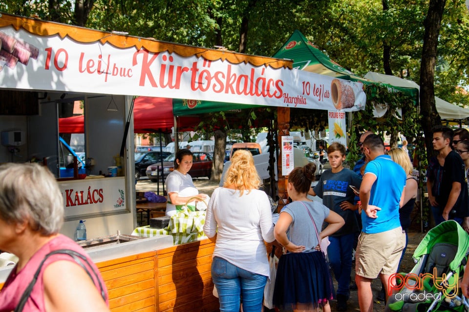 Festivalul Mustului, Oradea