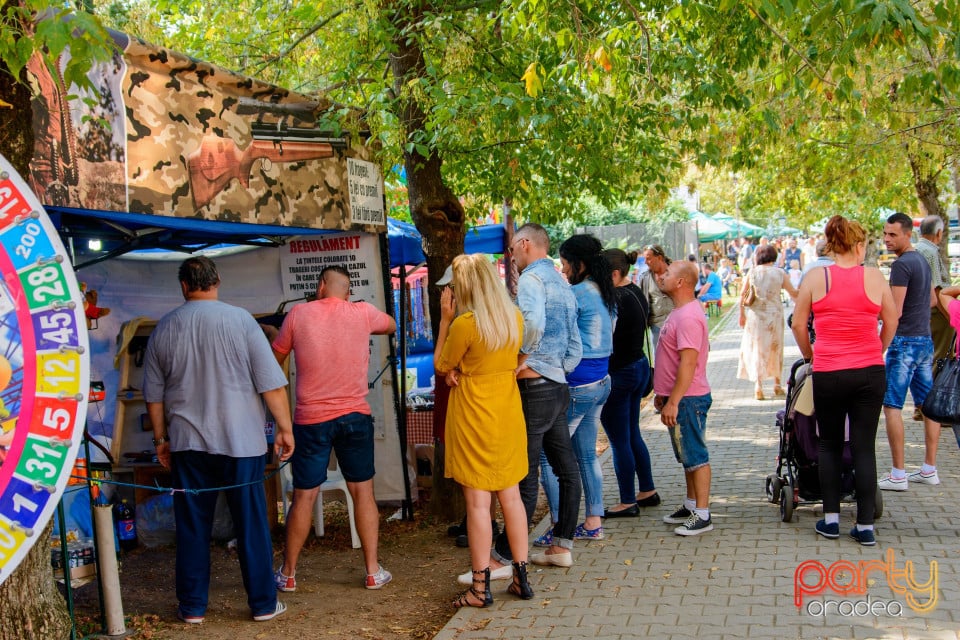 Festivalul Mustului, Oradea