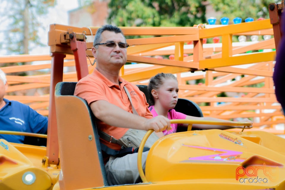 Festivalul Mustului, Oradea