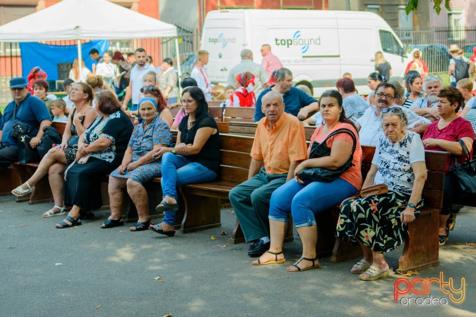 Festivalul Mustului, Oradea