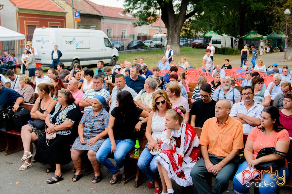 Festivalul Mustului, Oradea