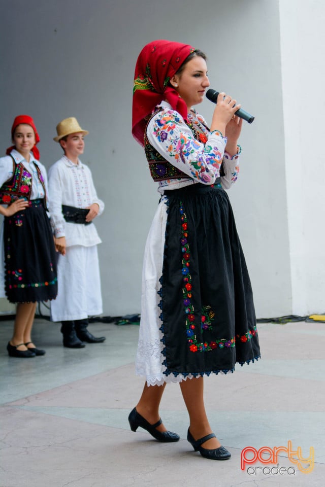 Festivalul Mustului, Oradea