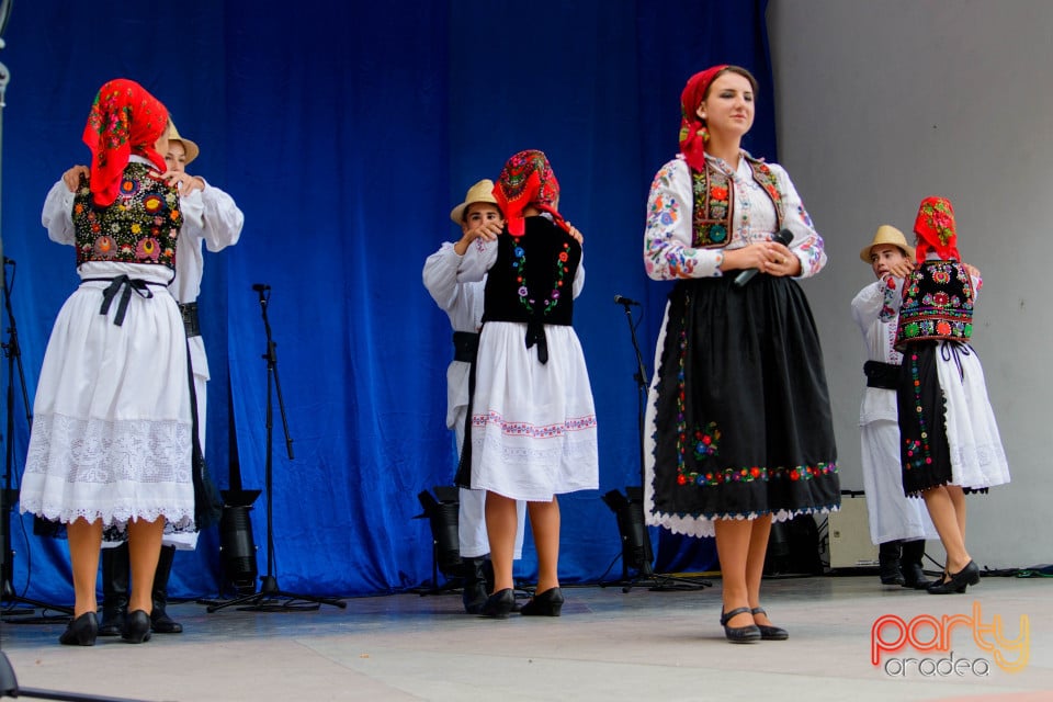 Festivalul Mustului, Oradea