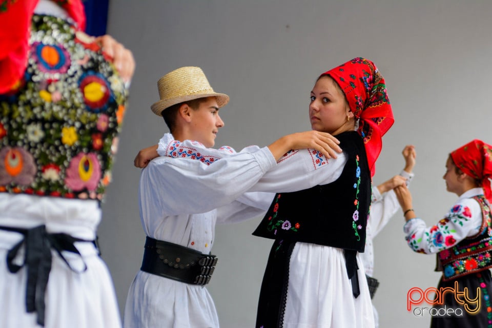 Festivalul Mustului, Oradea