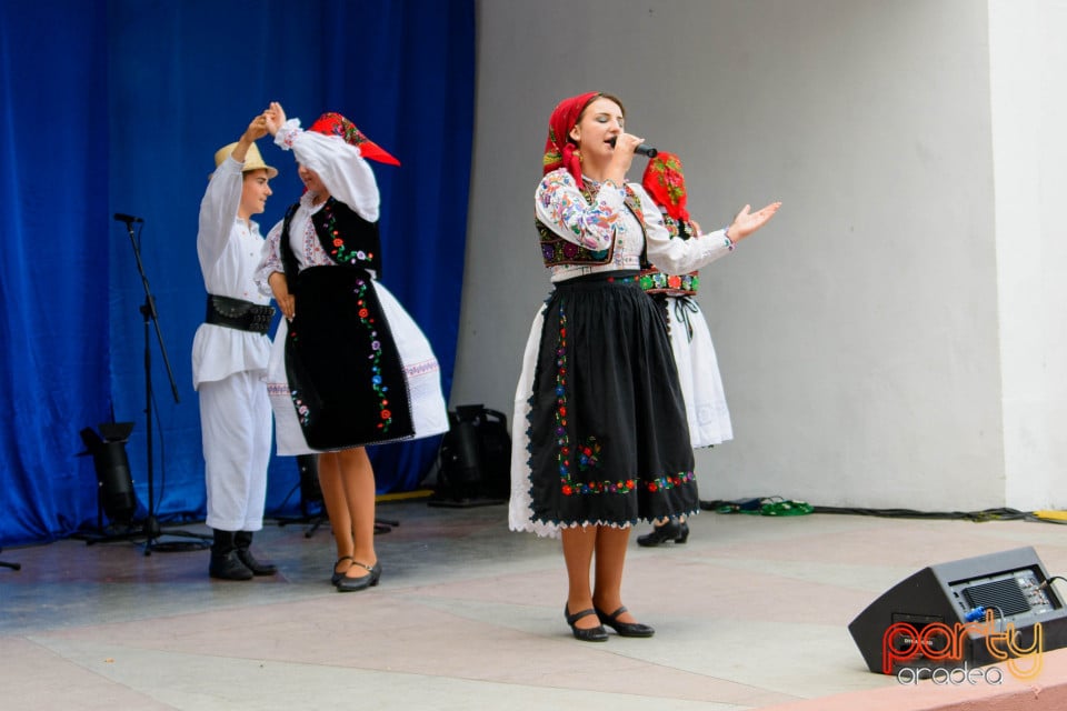 Festivalul Mustului, Oradea