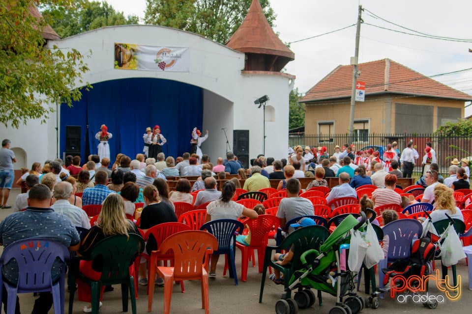 Festivalul Mustului, Oradea