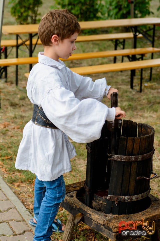 Festivalul Mustului, Oradea