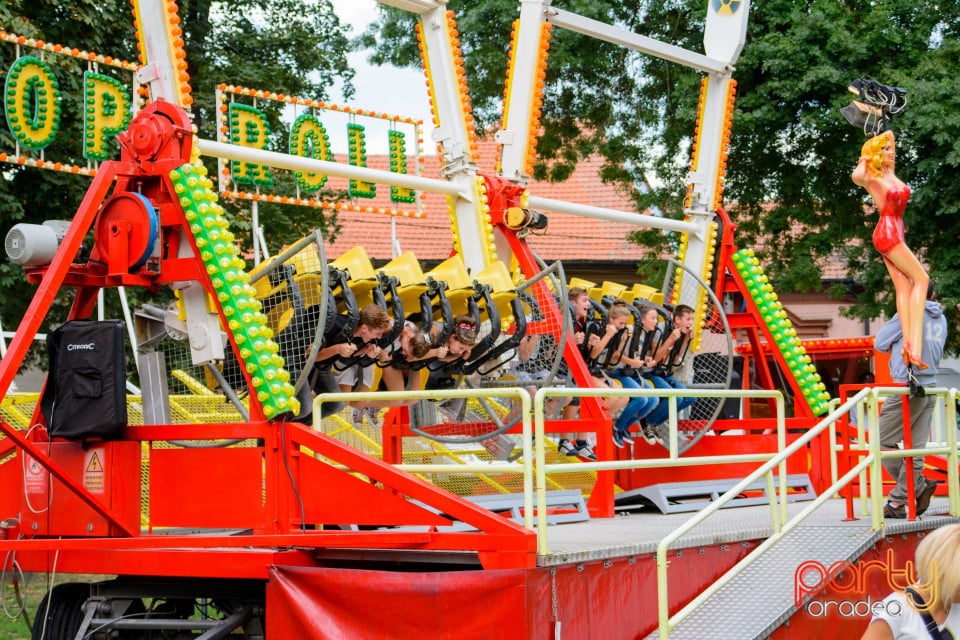 Festivalul Mustului, Oradea