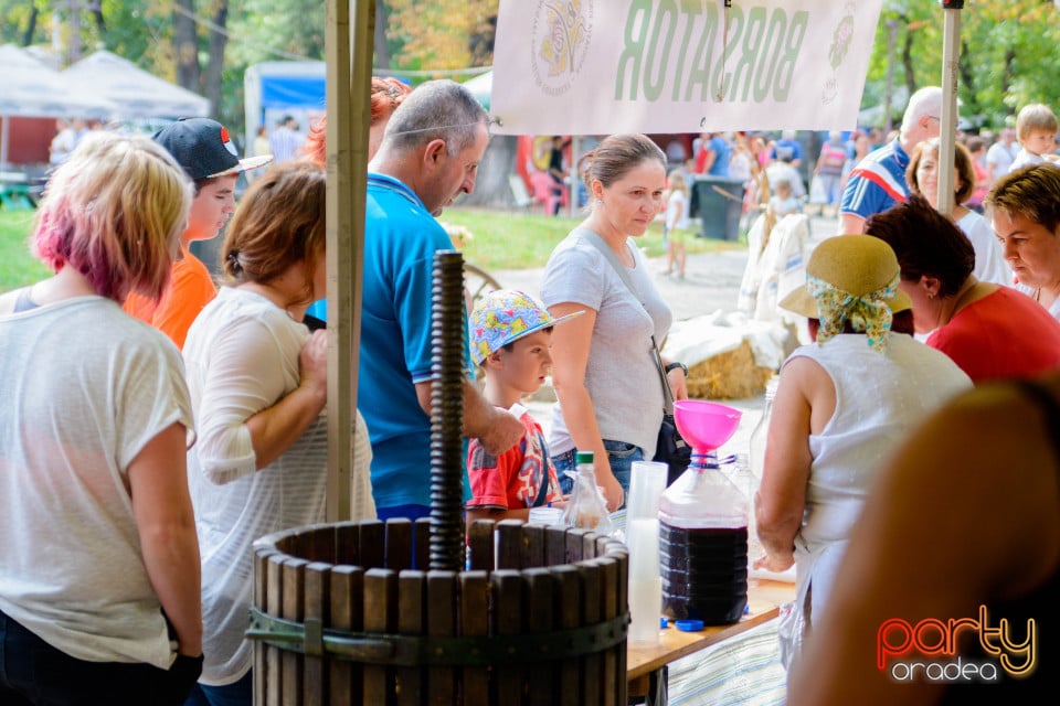 Festivalul Mustului, Oradea