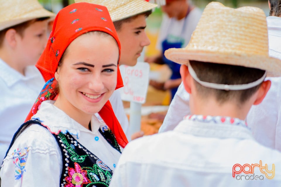 Festivalul Mustului, Oradea